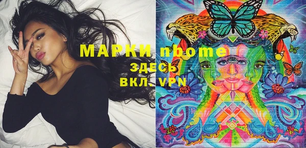 шишки Алзамай