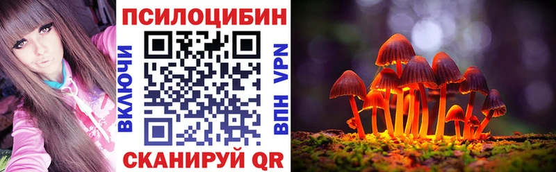 omg зеркало Камышин Галлюциногенные грибы прущие грибы