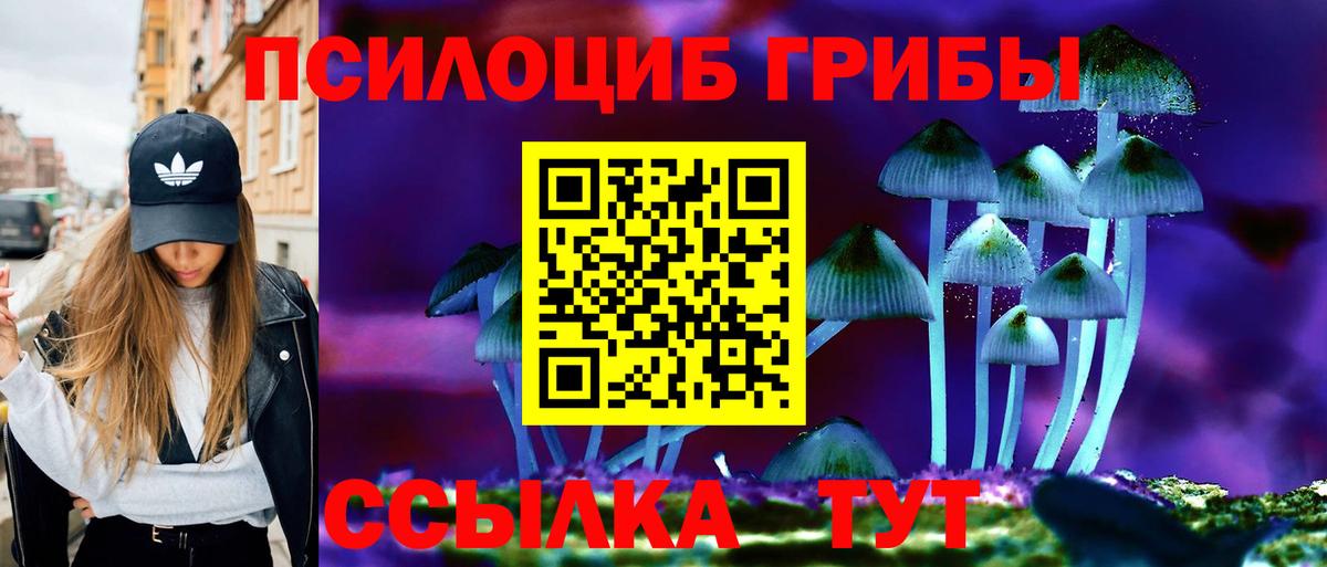 Галлюциногенные грибы Psilocybine cubensis  где найти   Камышин  Вход с VPN  Псилоцибиновые грибы Magic Shrooms 